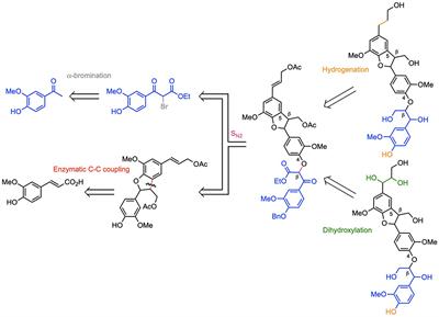 First Total Synthesis of (β-5)-(β-O-4) Dihydroxytrimer and Dihydrotrimer of Coniferyl Alcohol (G): Advanced Lignin Model Compounds